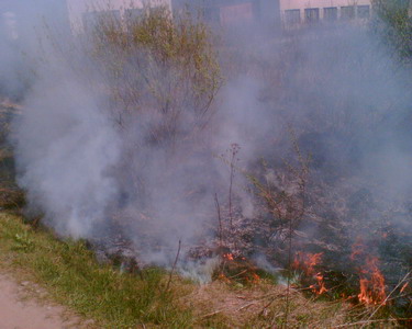 Fotečka005_resize.jpg
